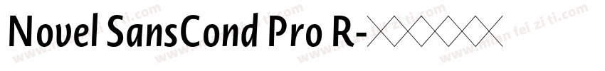 Novel SansCond Pro R字体转换